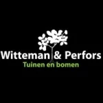 Witteman & Perfors